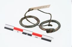 Foto von Bronzering (NHMW-PRAE-026483)